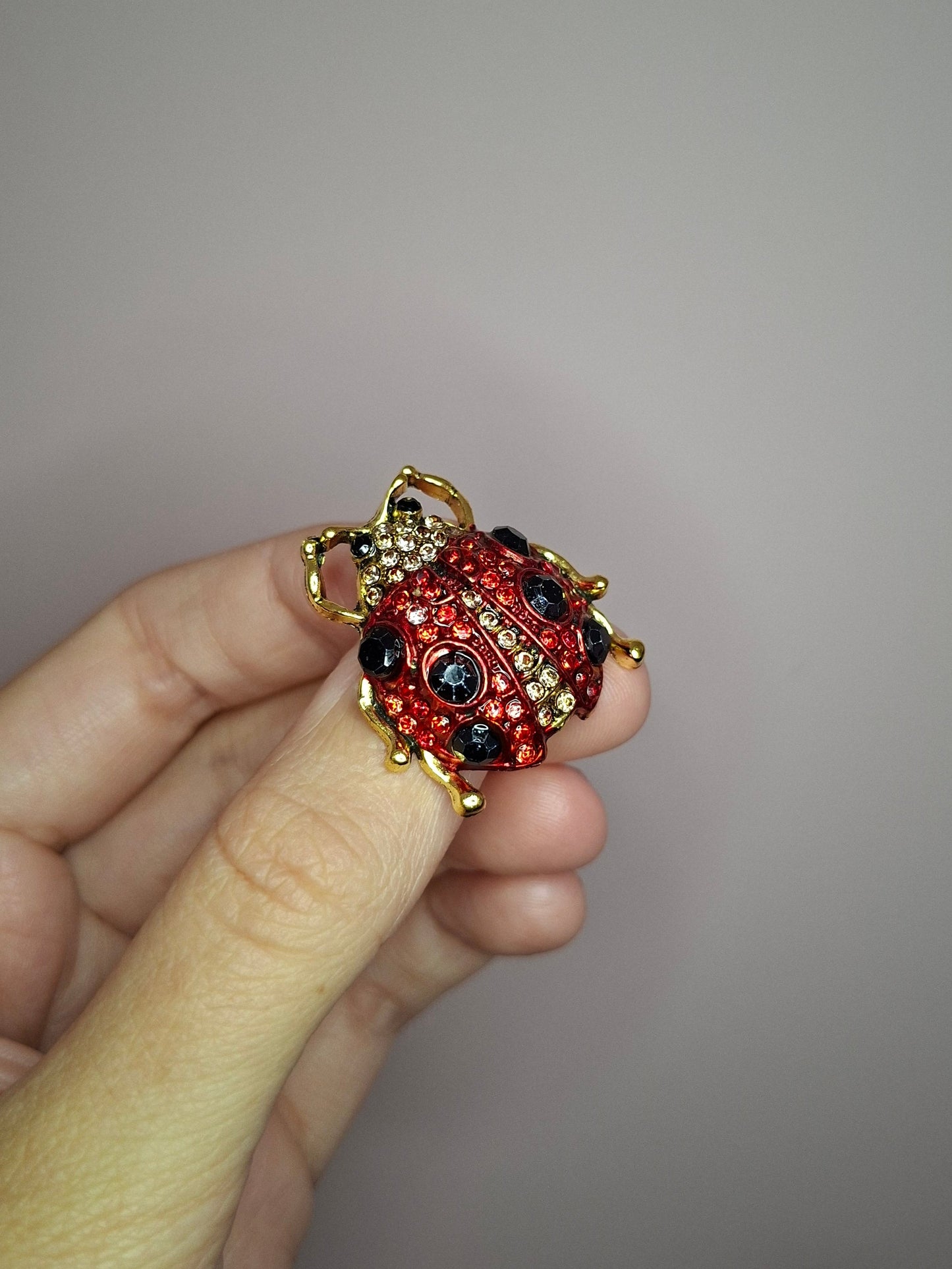 Broche XS lieveheersbeestje