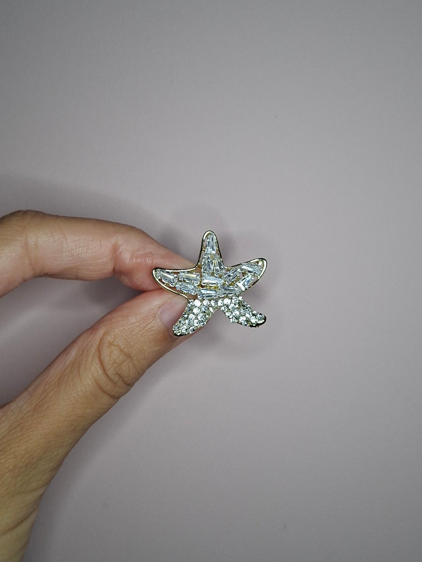 Broche Mini Zeester