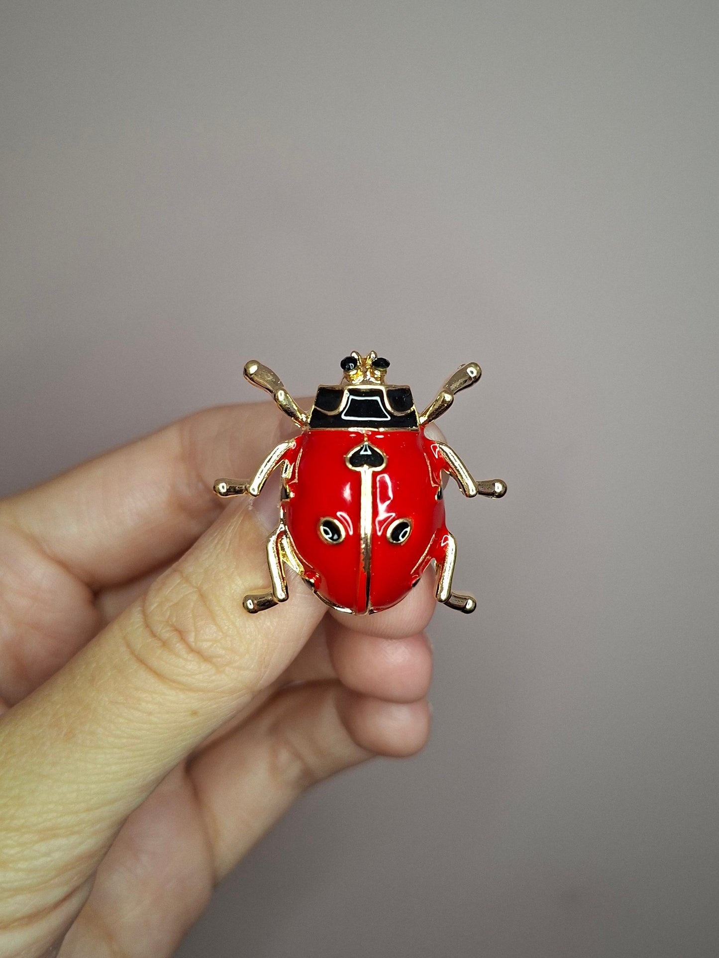 Broche XS Lieveheersbeestje rood