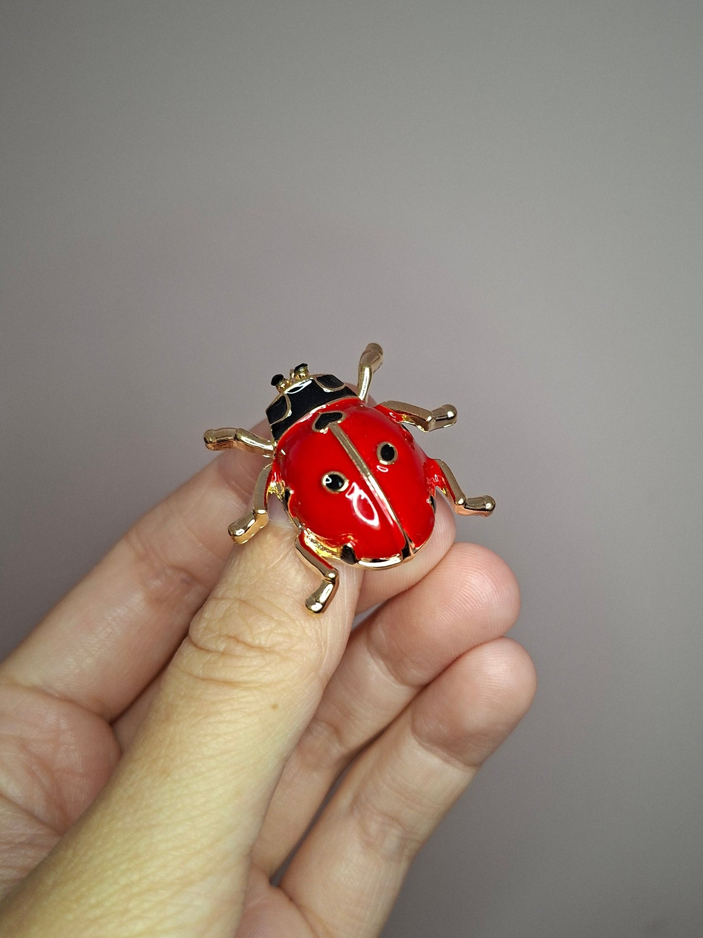 Broche XS Lieveheersbeestje rood