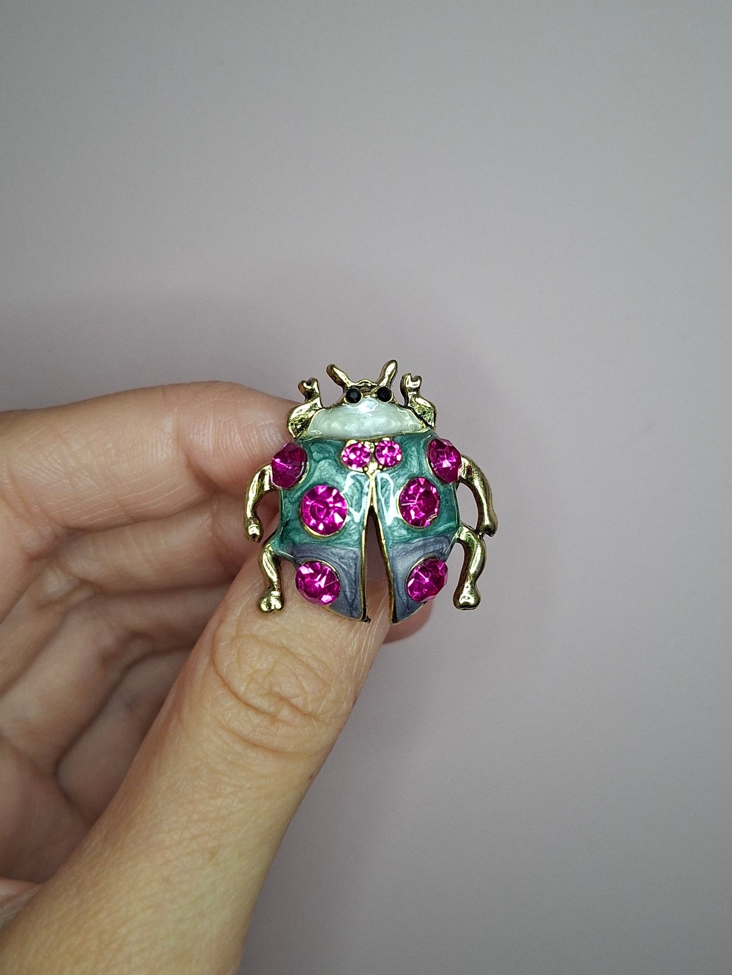 Broche XS Lieveheersbeestje roze