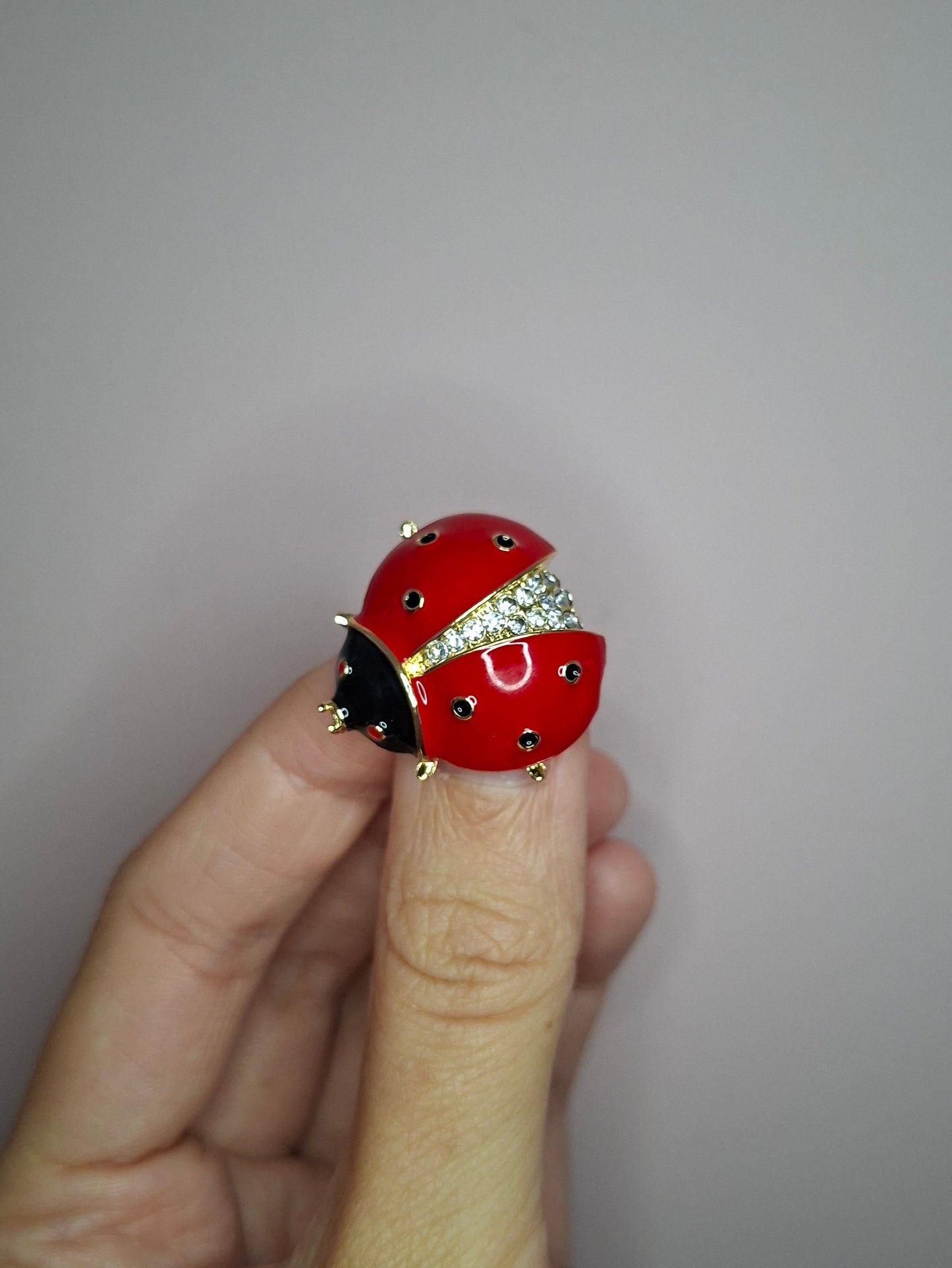 Broche XS Lieveheersbeestje rond