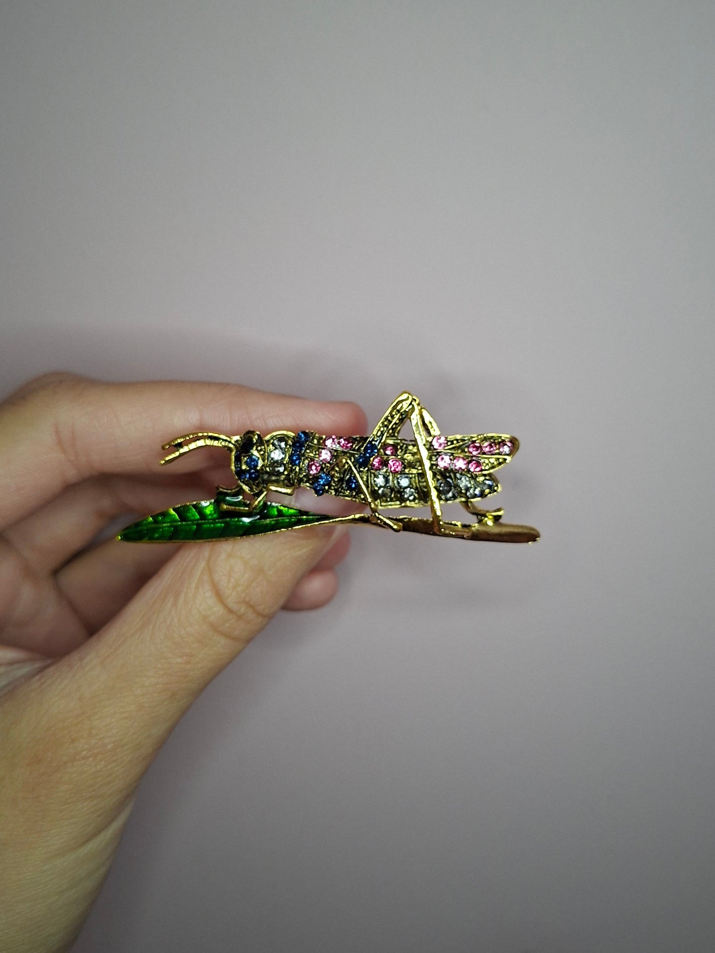 Broche S Sprinkhaan