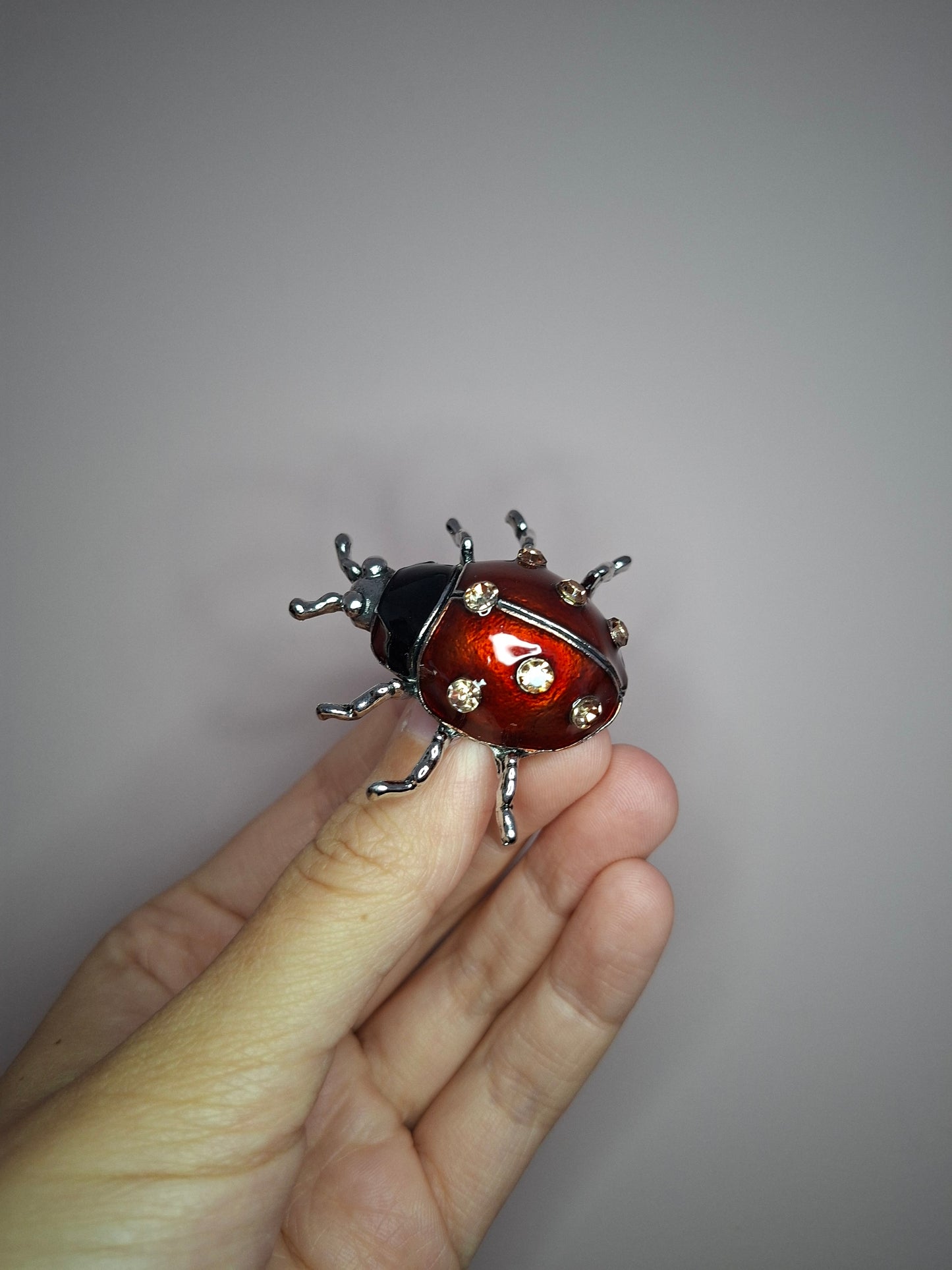 Broche S Lieveheersbeestje rood
