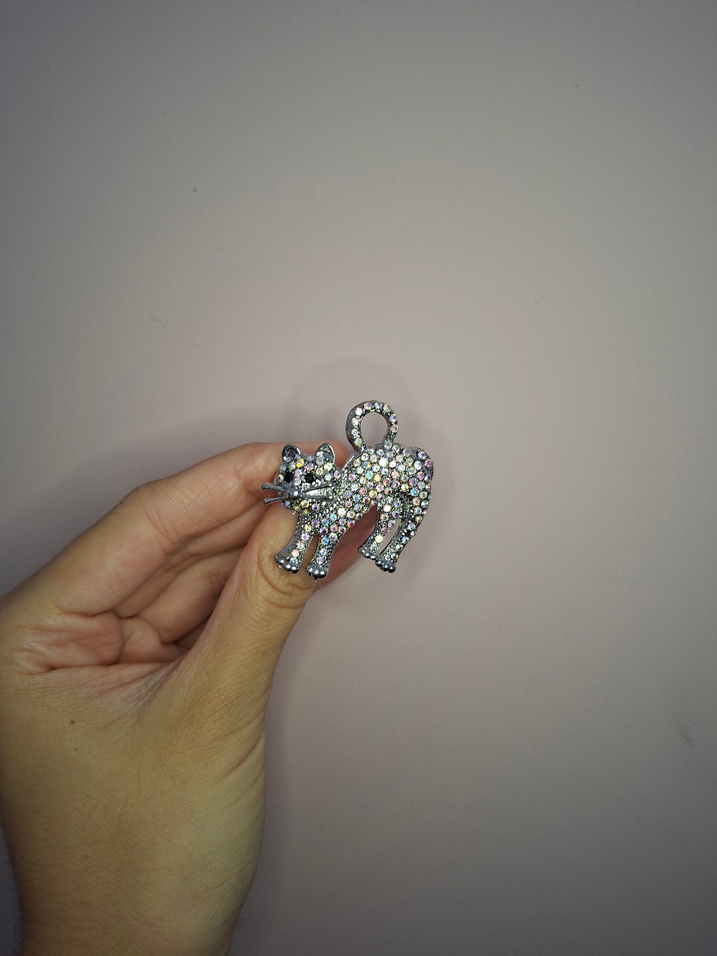 Broche XS Kat Zilver